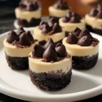 Discover the Joy of Mini Chocolate Cheesecake Bites Today! 3 Mini Chocolate Cheesecake Bites 30 Minutes Ultimate Delicious